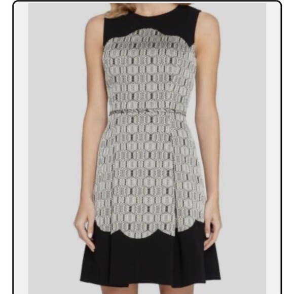 Tahari Arthur S Levine Black rose silver Jacquard Fit & Flare Dress size 14 - Picture 1 of 11